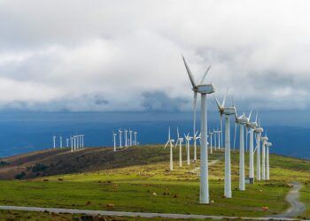 iberdrola