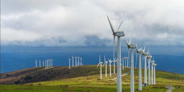 iberdrola