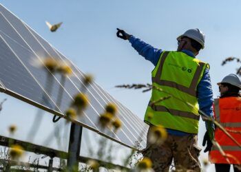 Lightsource bp refuerza su liderazgo mundial con nuevos acuerdos de energía renovable