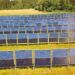 Paneles solares verticales