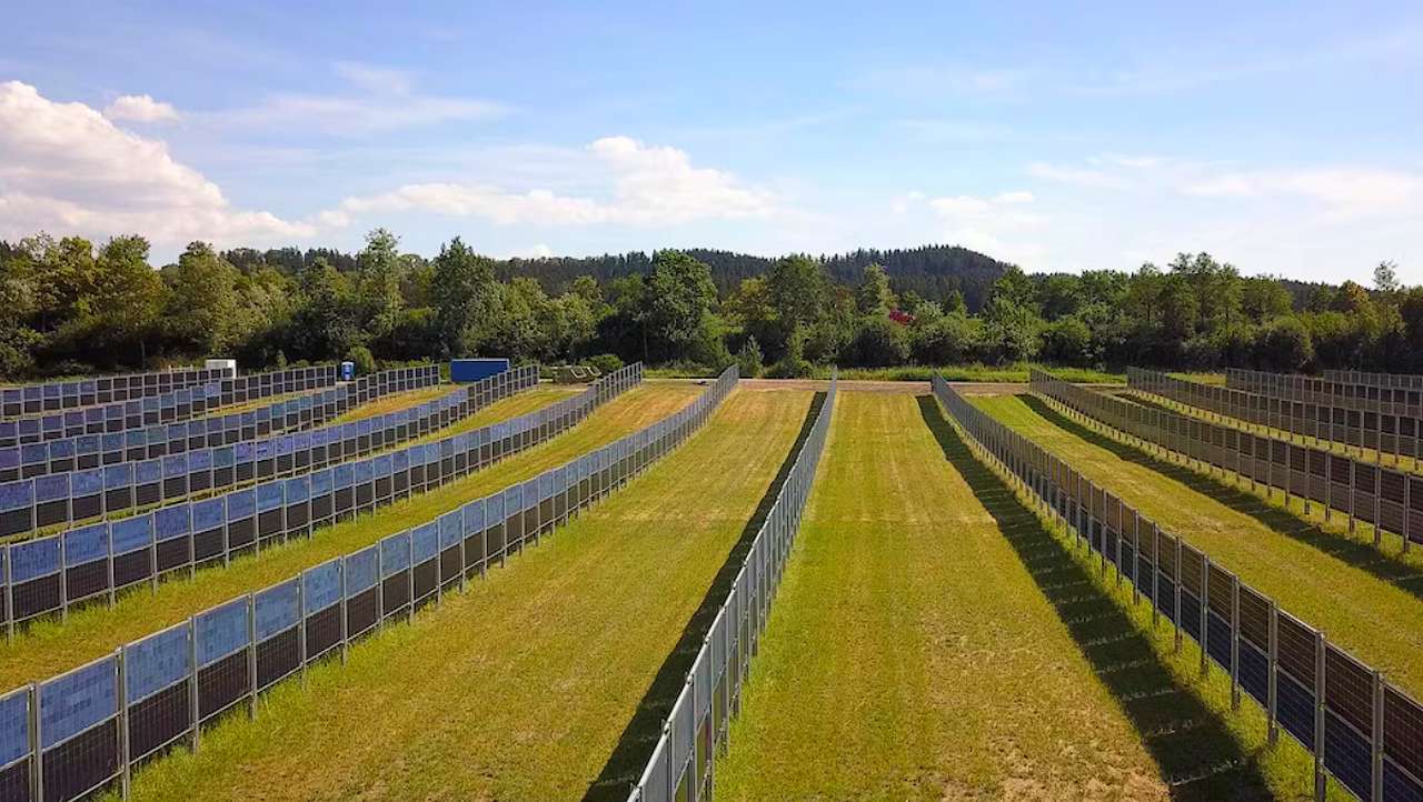 Paneles solares verticales