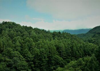 registro de huella de carbono