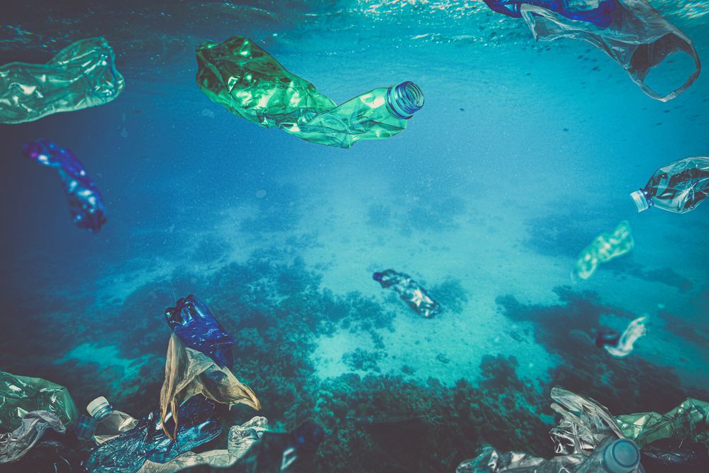 basura marina