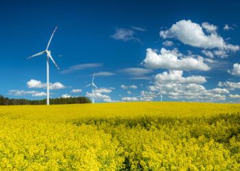 El futuro del mercado energético: estos son los principales retos de las renovables en Europa