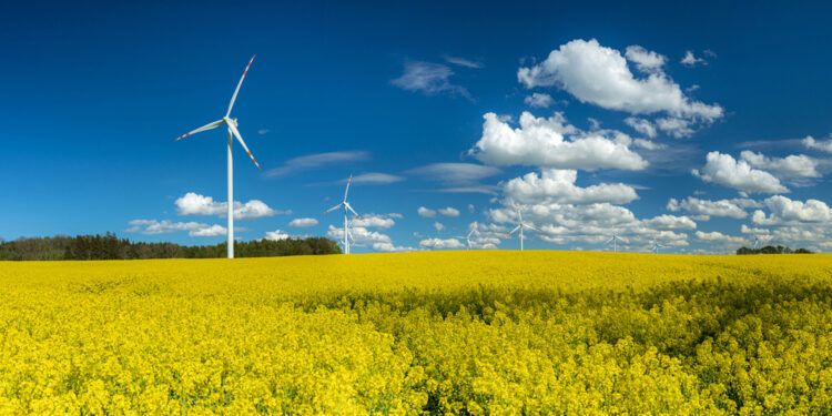 El futuro del mercado energético: estos son los principales retos de las renovables en Europa