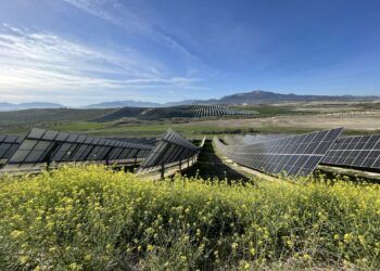 matrix renewables