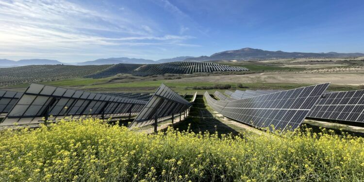 matrix renewables
