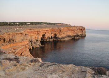 Formentera plantará 475.000 árboles y tratará de enfriar la temperatura hasta 3 ºC