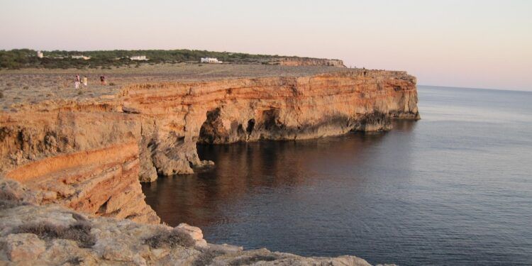Formentera plantará 475.000 árboles y tratará de enfriar la temperatura hasta 3 ºC