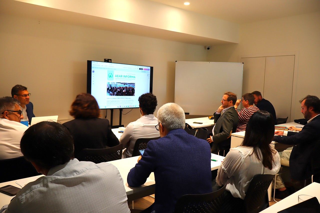Asociación Española del Amoniaco Renovable (AEAR)