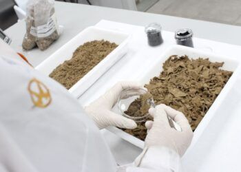 Una iniciativa valenciana que convierte los residuos de cuero en energía y nuevos materiales