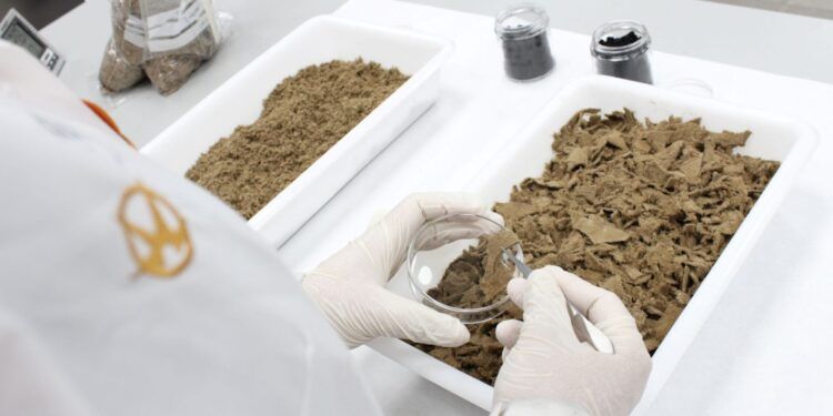 Una iniciativa valenciana que convierte los residuos de cuero en energía y nuevos materiales