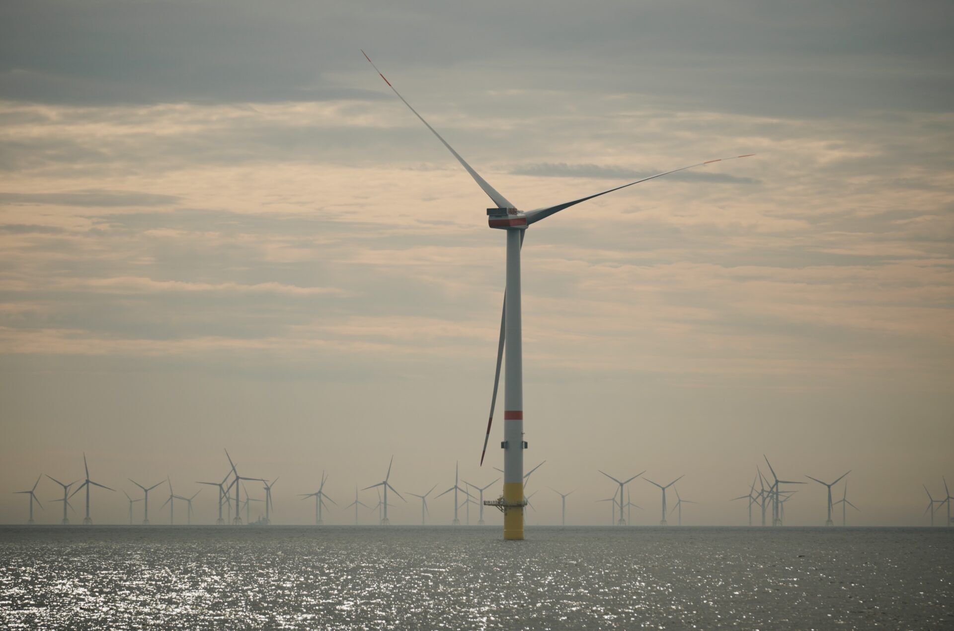 iberdrola