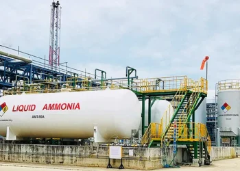 amoniaco renovable