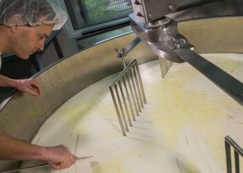 Sostenibilidad en la industria láctea