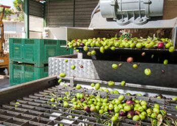 producción de biogás