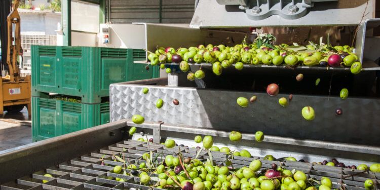 producción de biogás