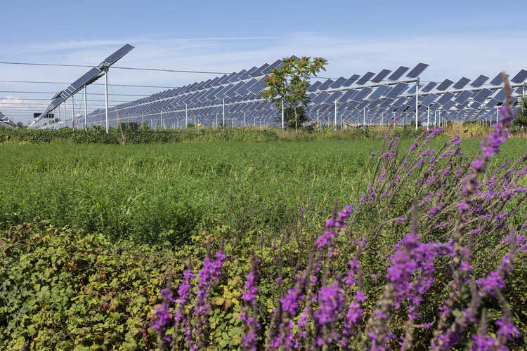 ayudas a proyectos en energías renovables