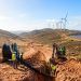 Castilla y León aprueba una planta híbrida en Soria de 50 megavatios. La obra destaca por ocultar bajo el suelo casi toda la conexión eléctrica para proteger el entorno natural.