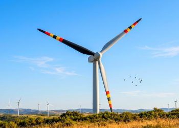 La alteración visual de los aerogeneradores mediante tonos negros, rojos y amarillos surge como una alternativa económica para mitigar los accidentes de los pájaros en los parques eólicos.