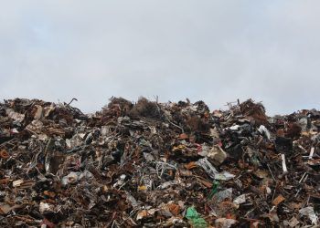 Zaragoza Zero Residuos: una iniciativa para convertir residuos urbanos en hidrógeno verde